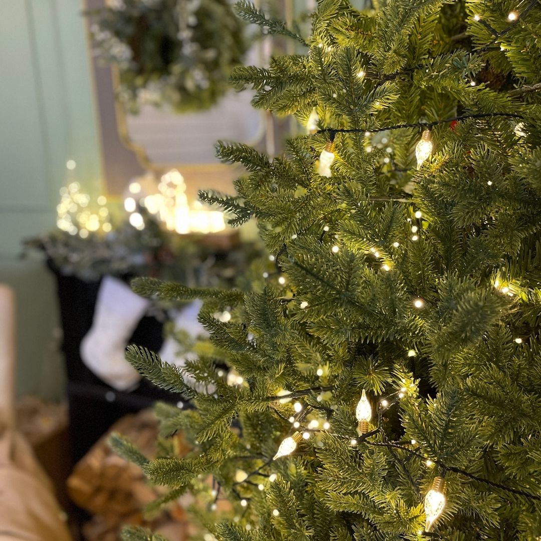 How to Choose the Best Christmas Lights for Your Home - The Garden House