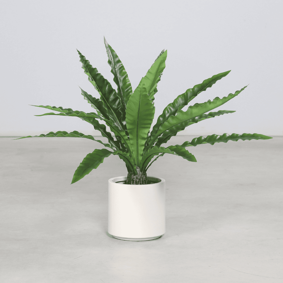 Artificial Fern in Beige Pot