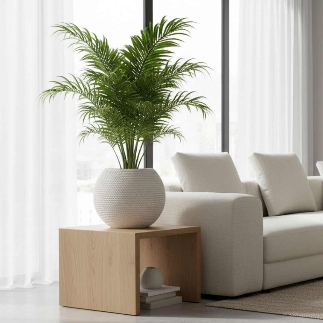 Bali Global Pot Corda - Off White