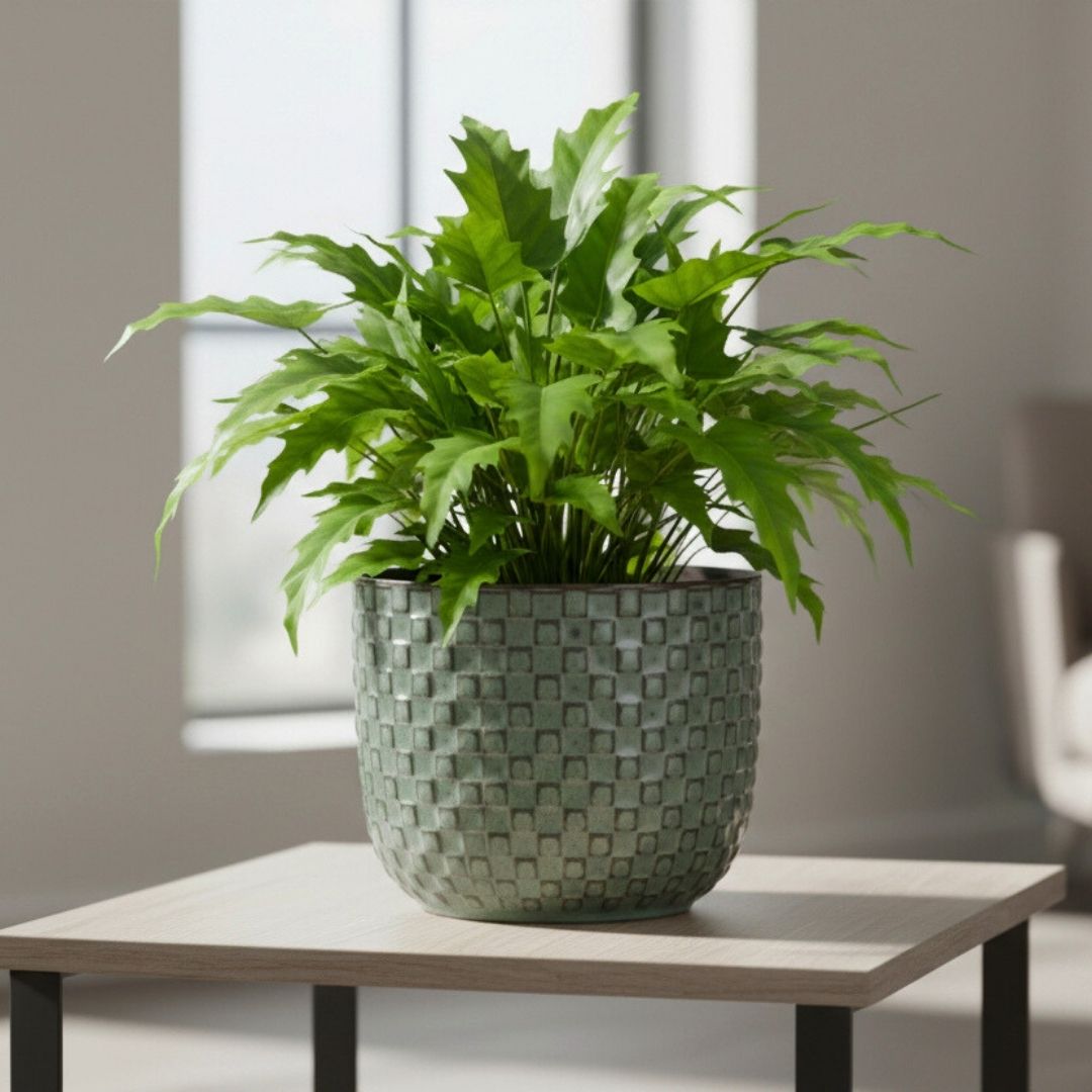 Daan Pot Round Green