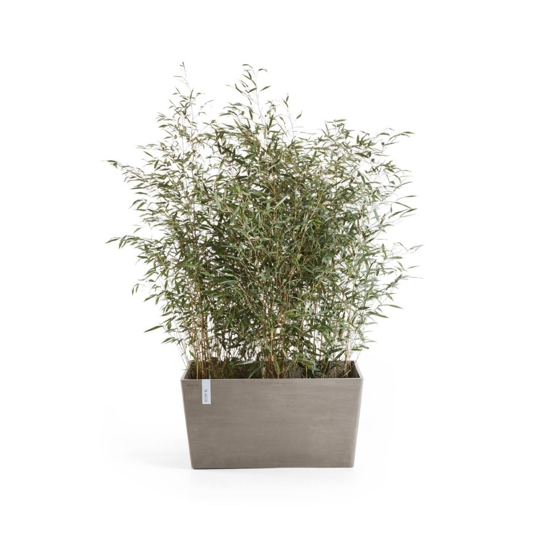 Ecopots Paris Taupe 80cm