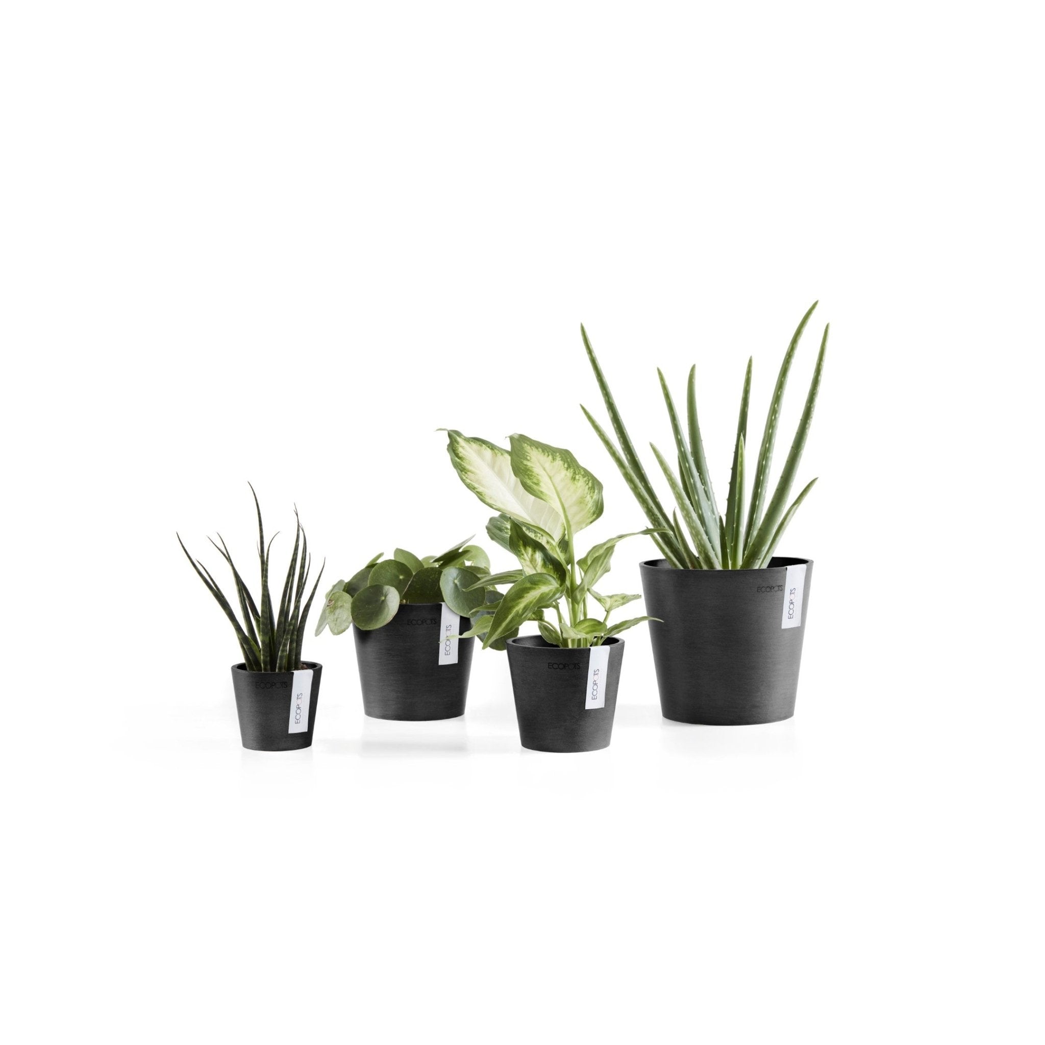 Ecopots Amsterdam Mini Pot Dark Grey