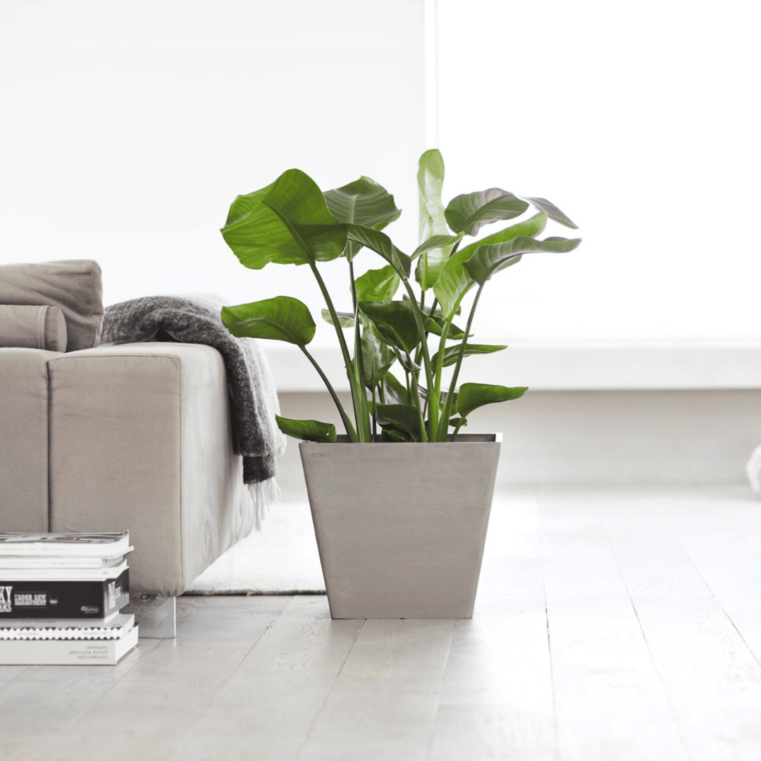 Ecopots Rotterdam Taupe