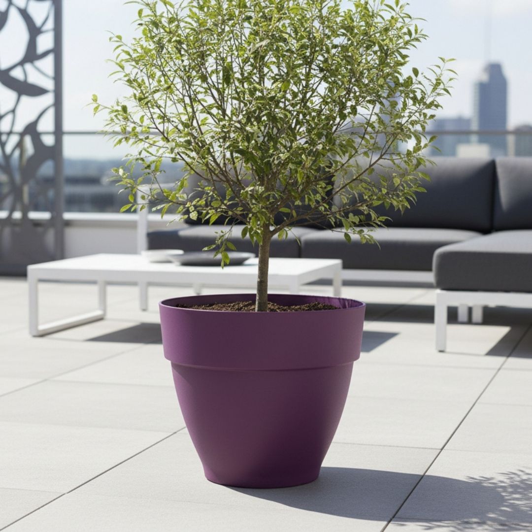 Elho Vibia Campana Round Maple Purple