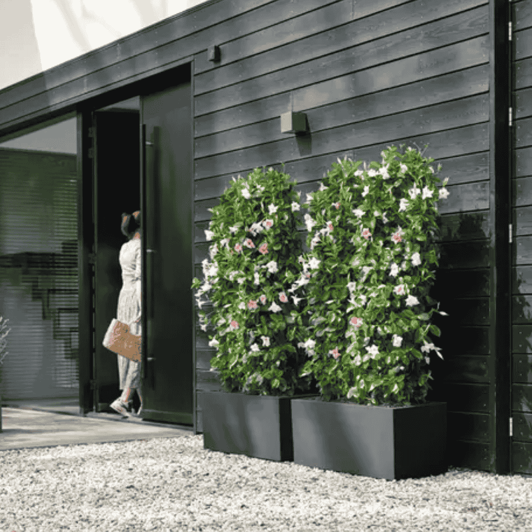 Elho Vivo Next Long Living Black