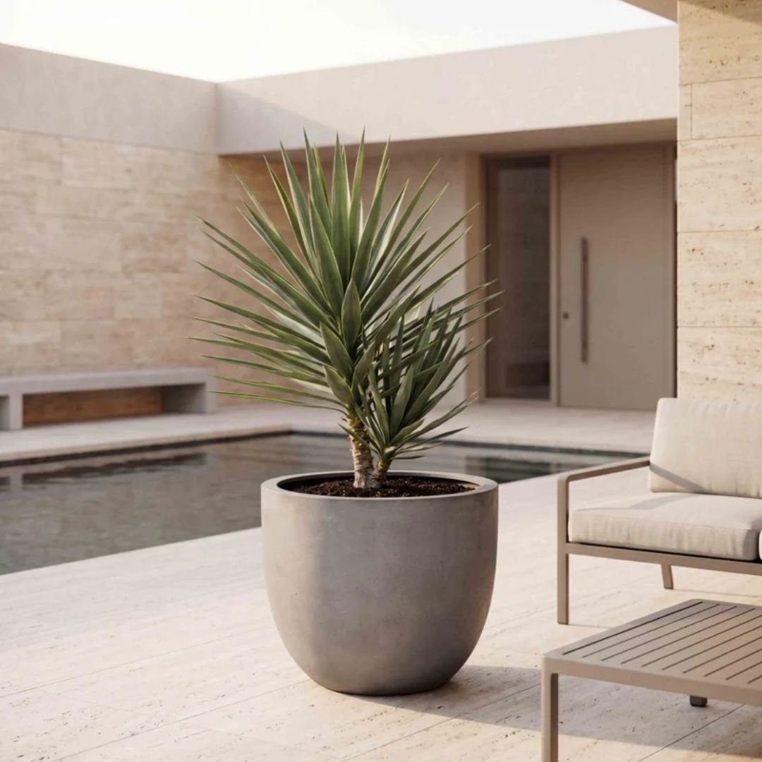 Eschbach New Egg Pot - Concrete Grey