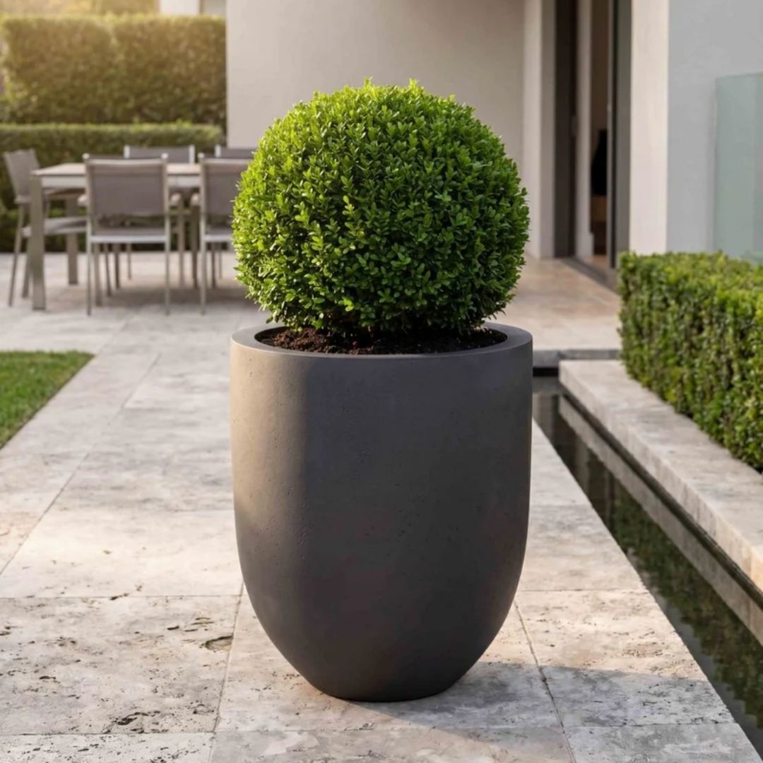 Eschbach Tall Egg Pot - Espresso Black