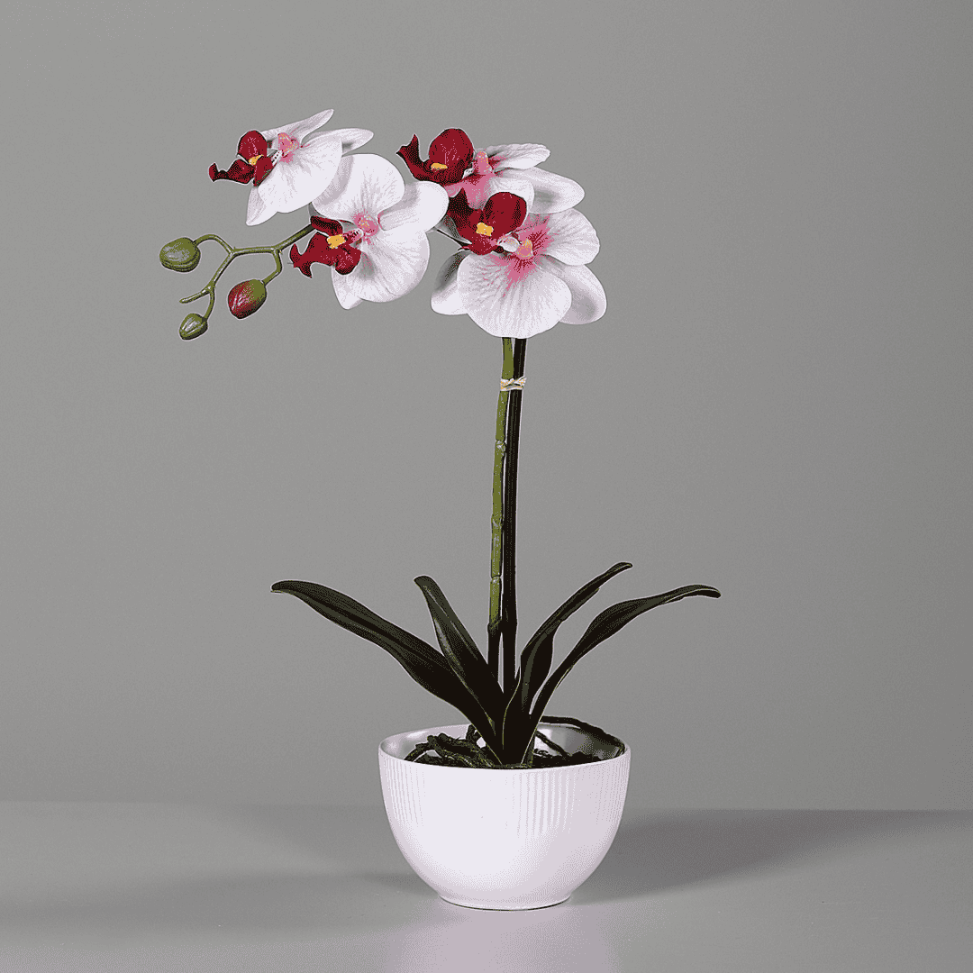 Faux Pink & White Orchid In White Bowl 40cm