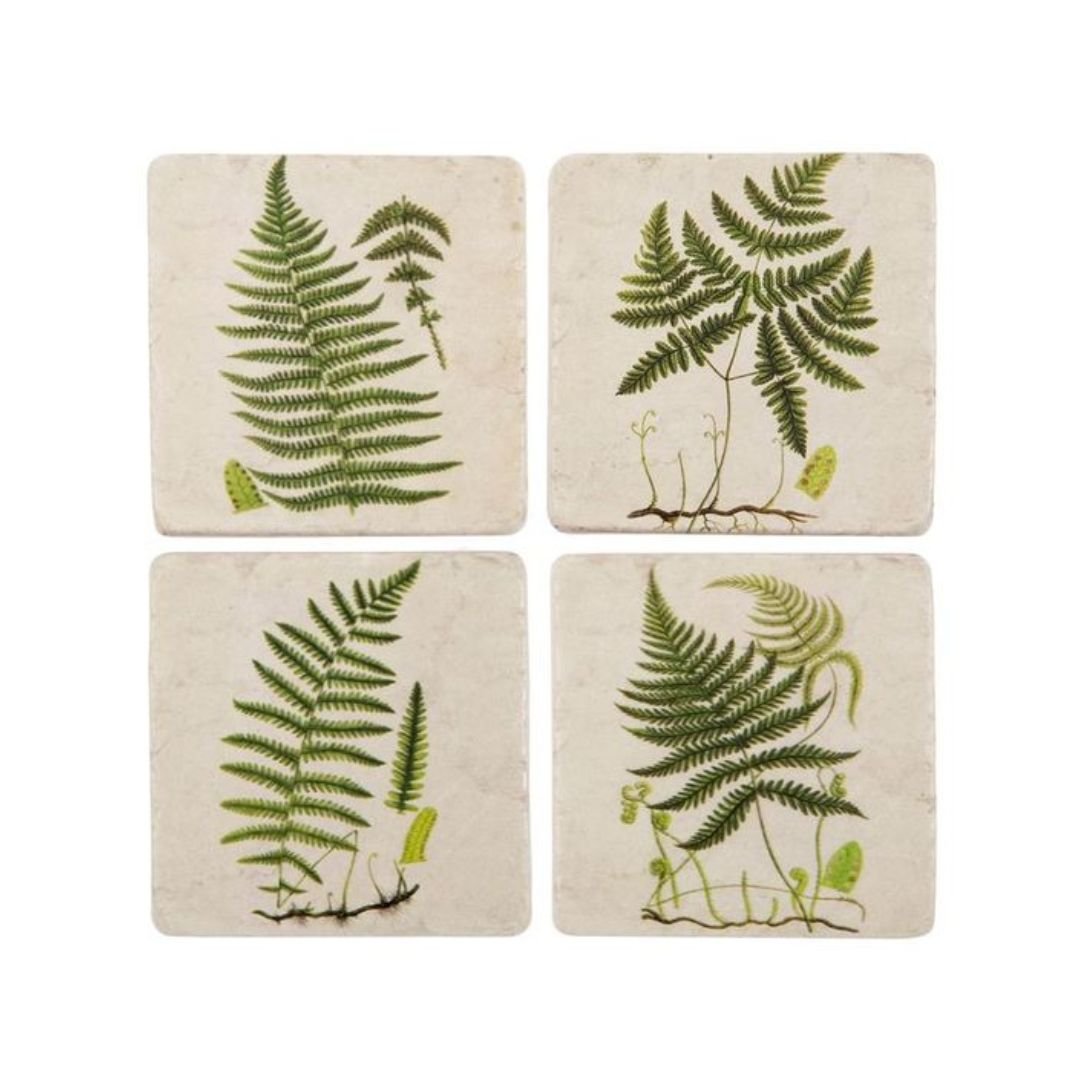 Fern Coasters