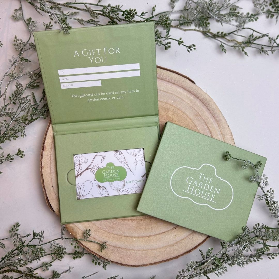 Gift Card Holder - White