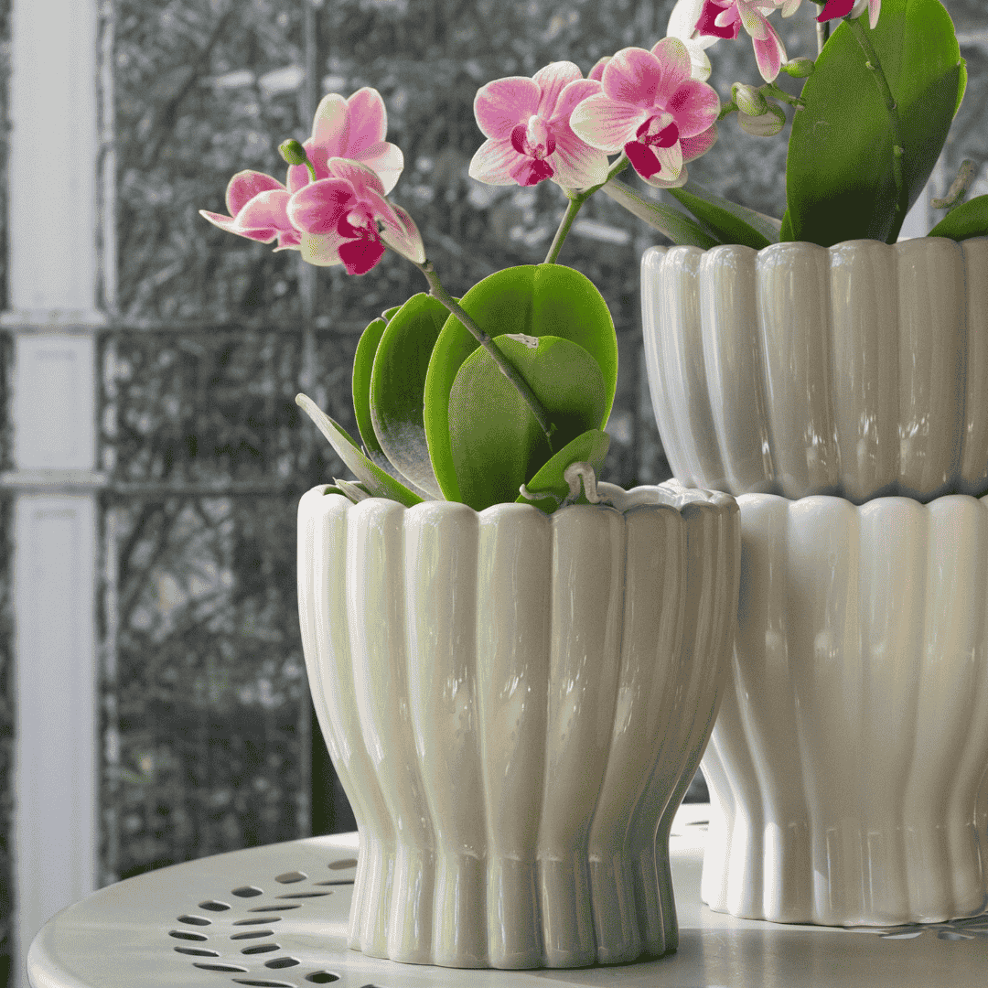 Hedvig Indoor Pot Green