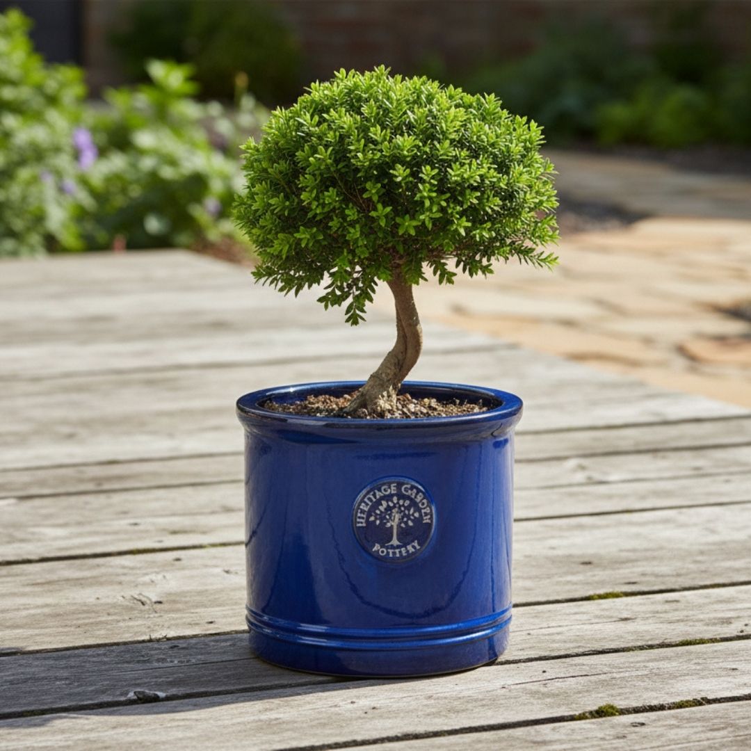 Heritage Cylinder Pot Blue