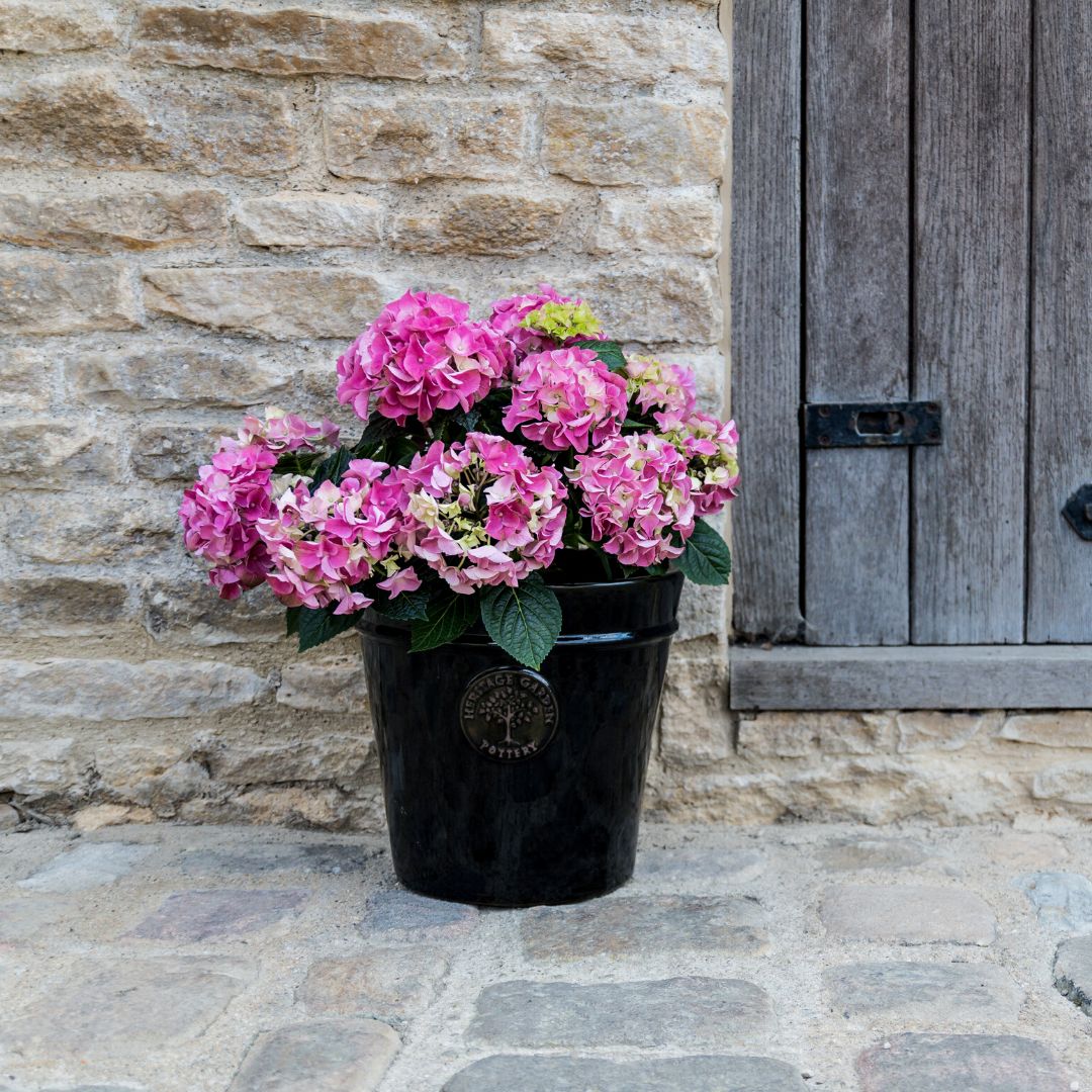 Heritage Pot Black