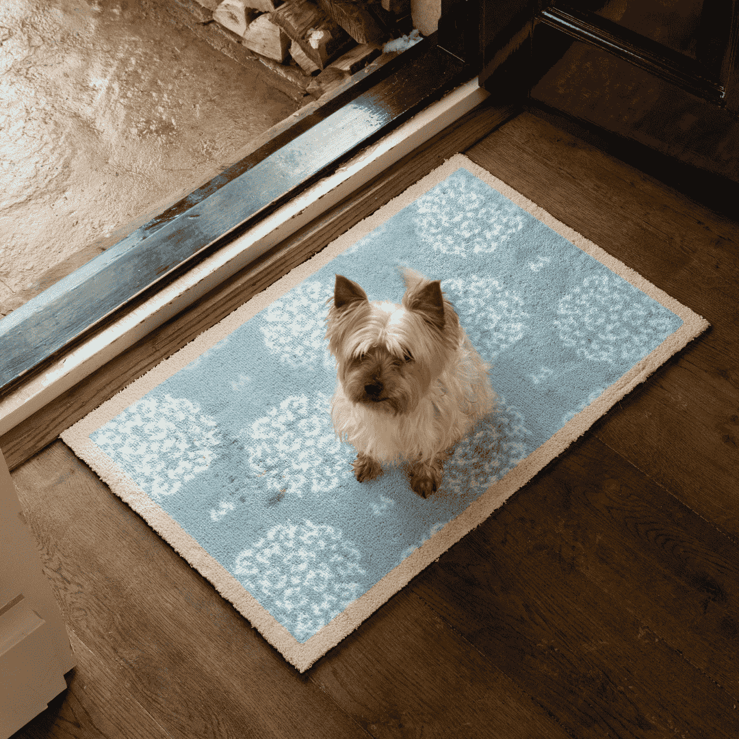 Hug Rug Doormat Home 15