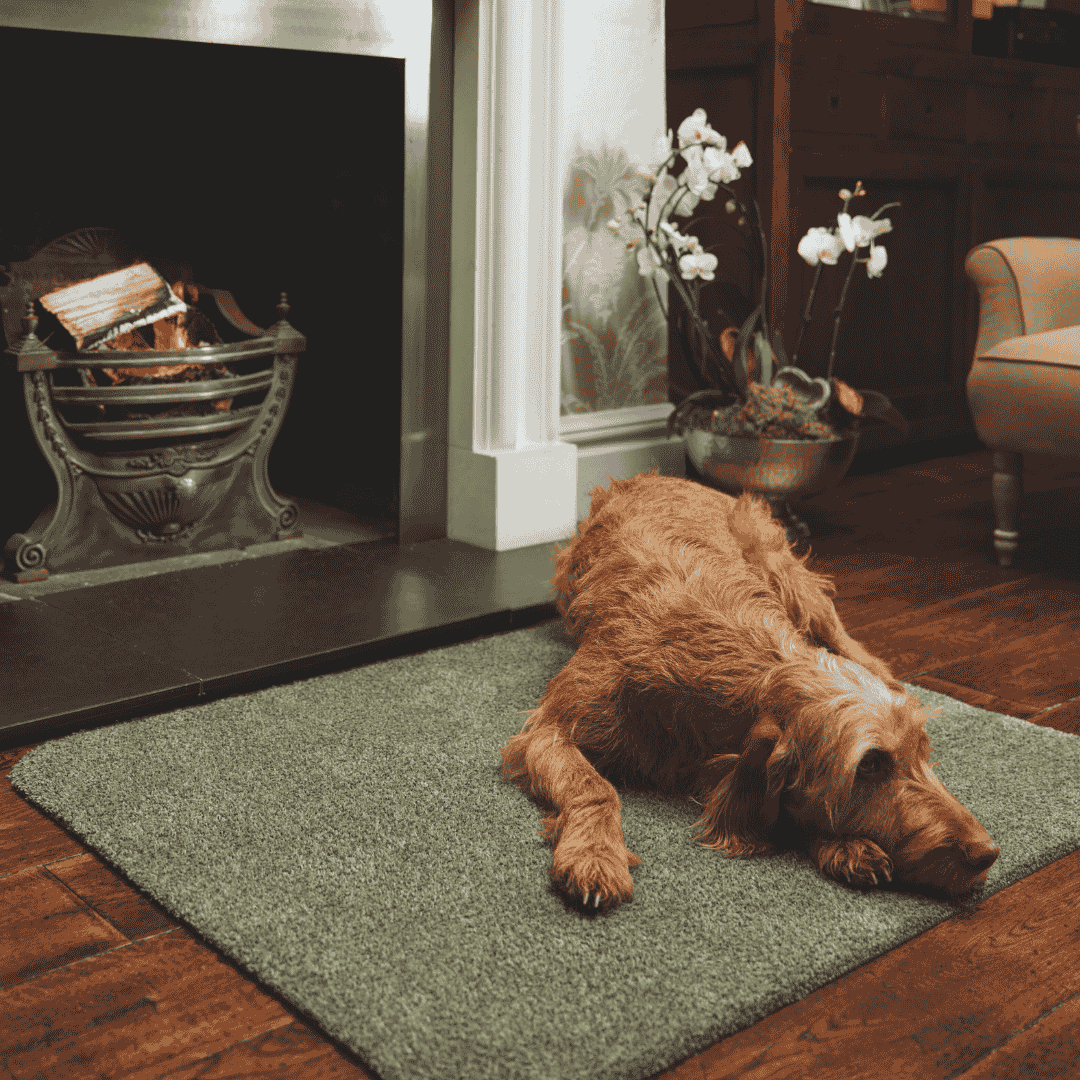 Hug Rug Doormat Plain Fleck Sage Green