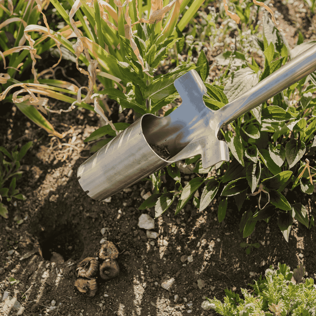 Kent & Stowe Stainless Steel Long Handled Bulb Planter