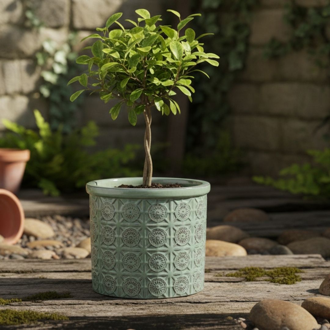 Moroc Pot Green
