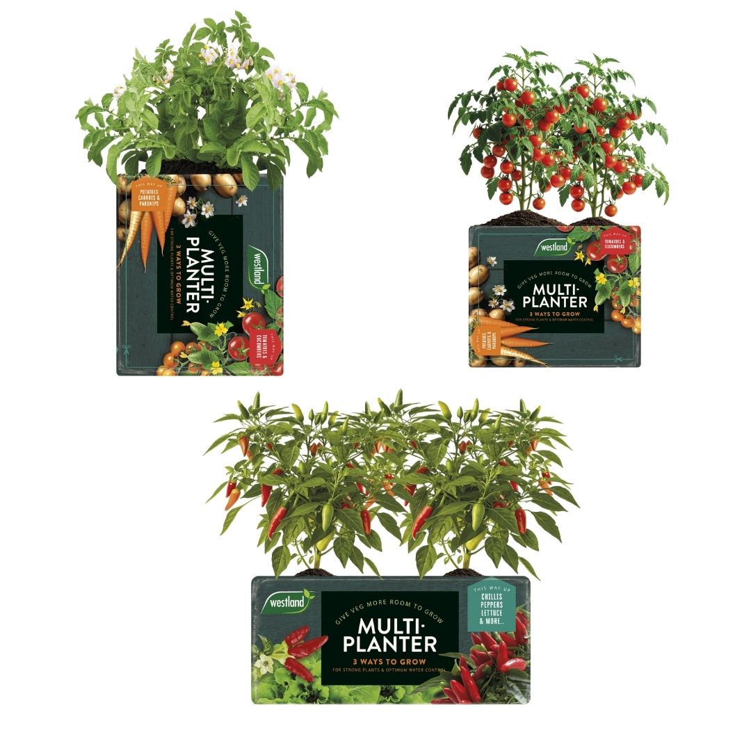 Multi-Planter Growbag