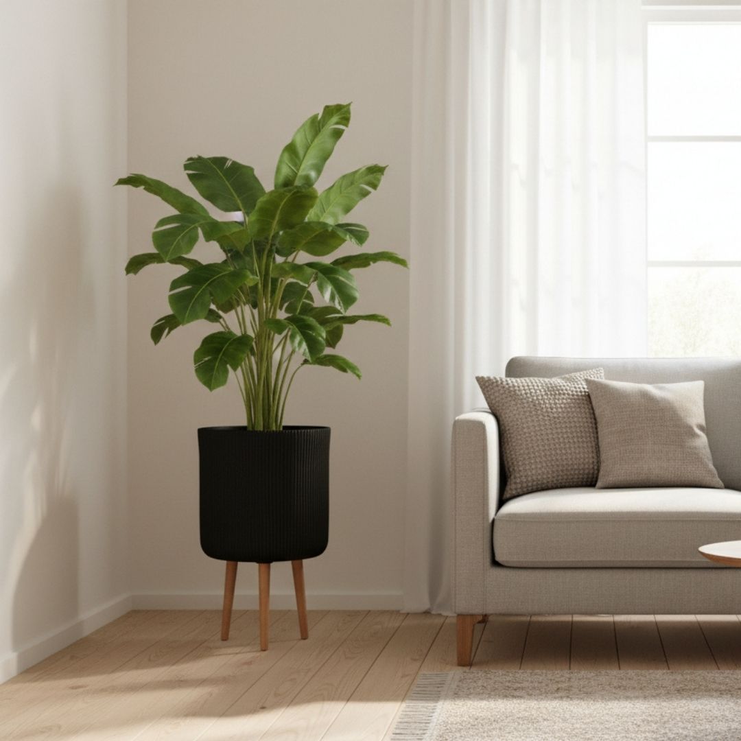 Nuovo Indoor Pot On Stand Black