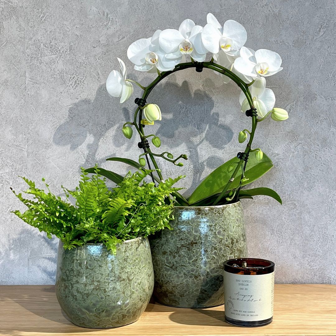 Oliver Pot Round Green