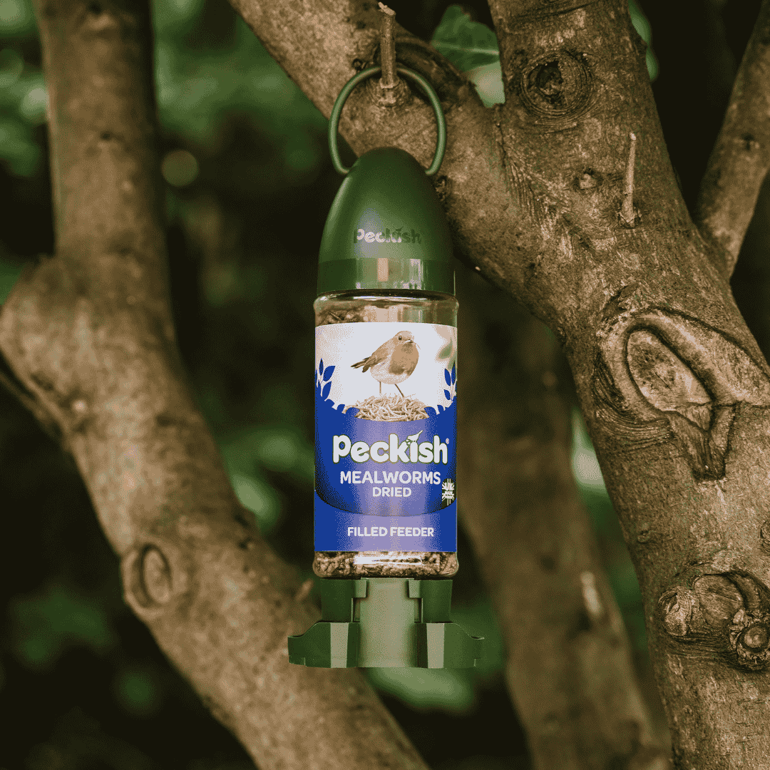 Peckish Mealworms Filled Feeder