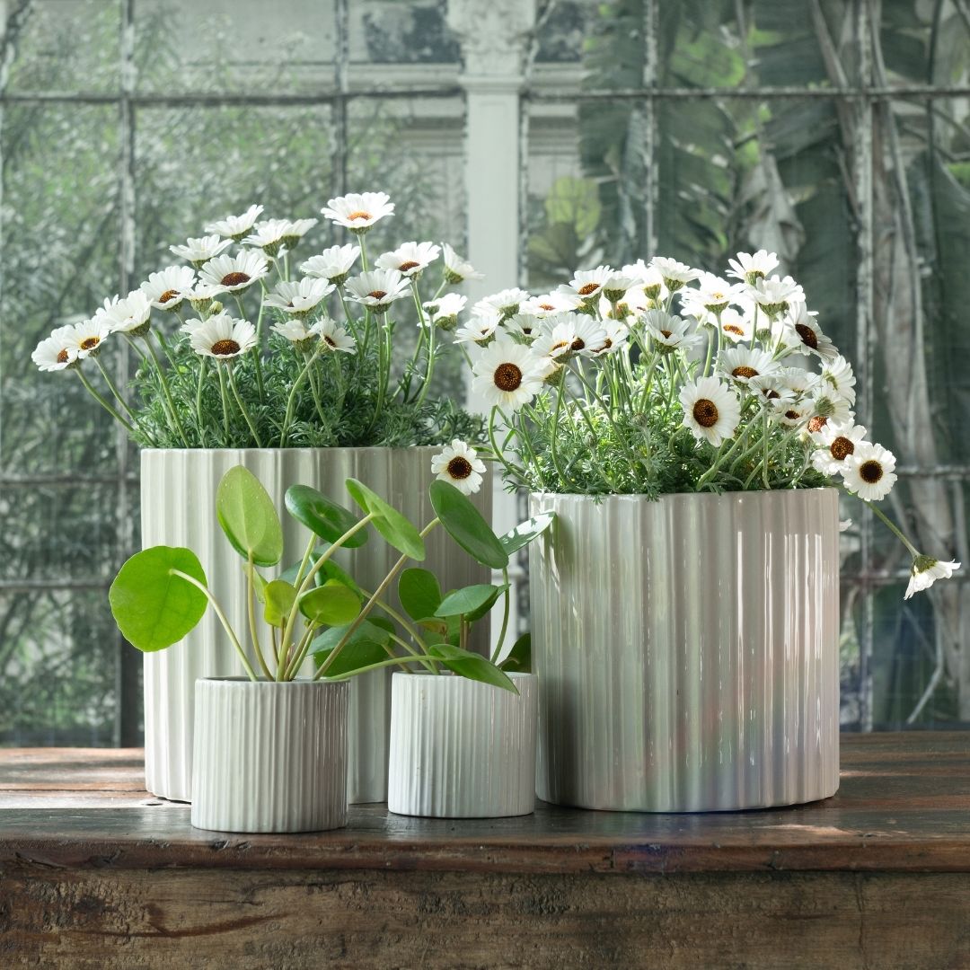Simone Indoor Pot White