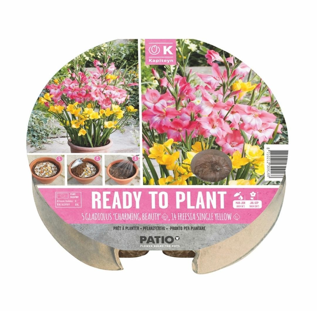 Summer Bulb Tray – 19 Pre - Planted Summer Blooms