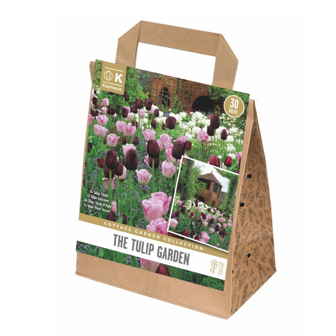 The Tulip Garden Bulbs
