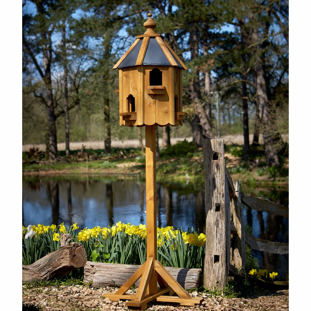 Tom Chambers Compton Dovecote