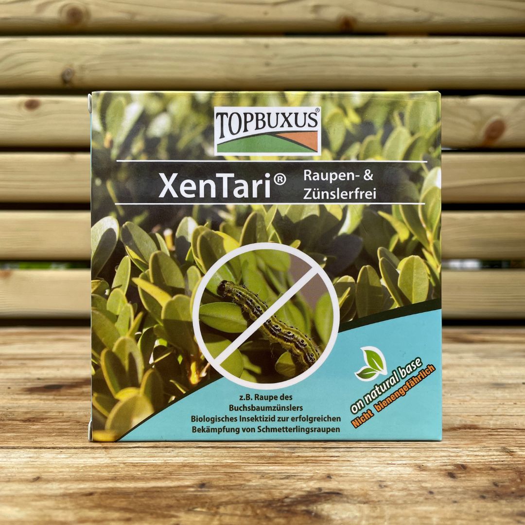Buxus Caterpillar Control-TopBuxus Xen Tari -
