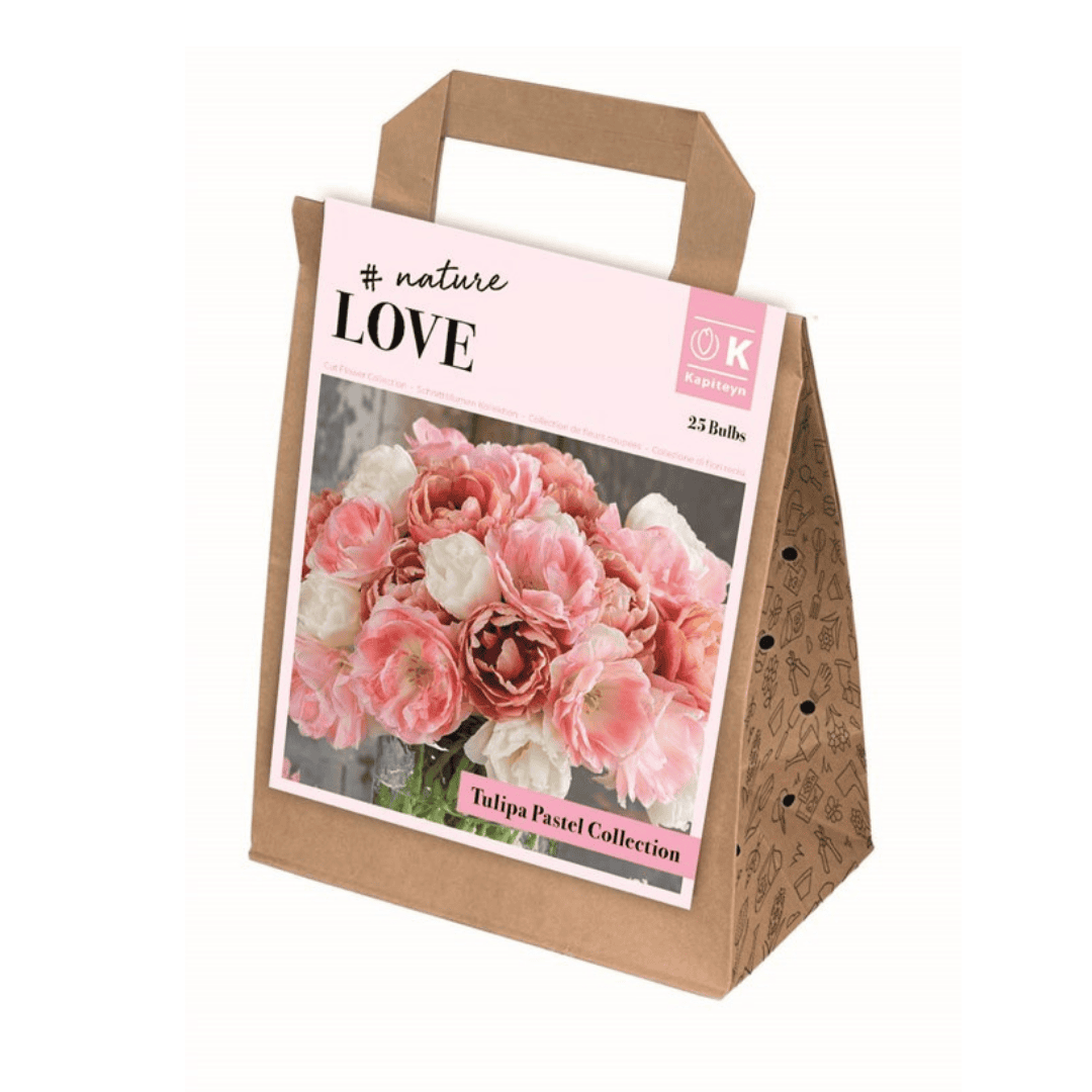 Tulip Double Pastel Collection Bulbs