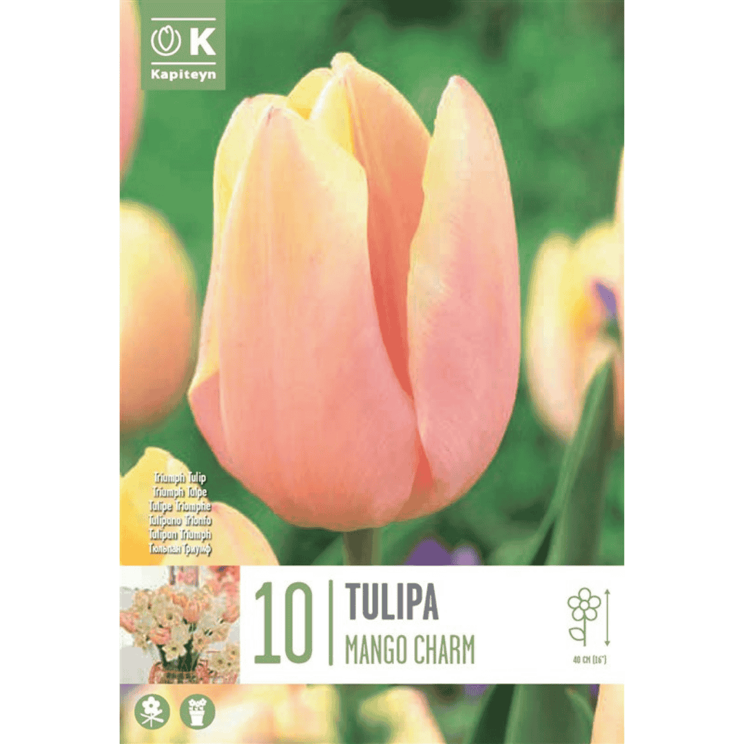 Tulip Mango Charm Bulbs