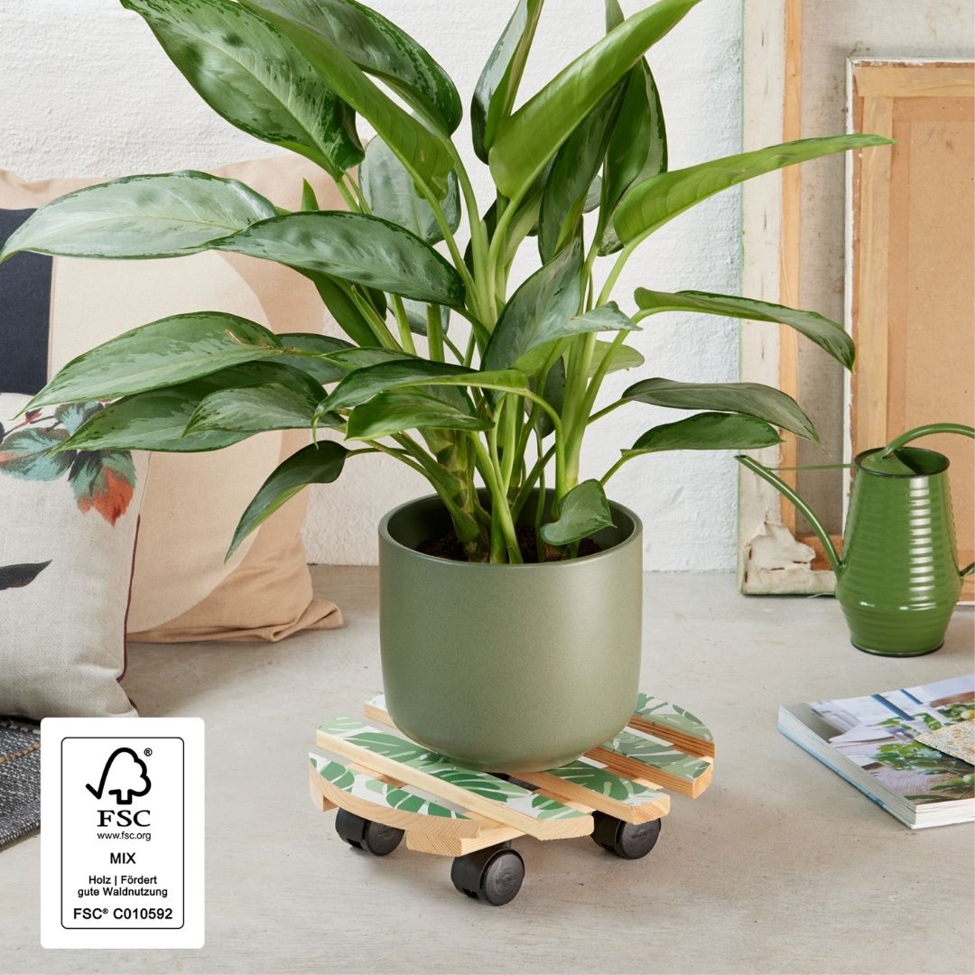 Plant Trolley Indoor Round Wood - Tropical