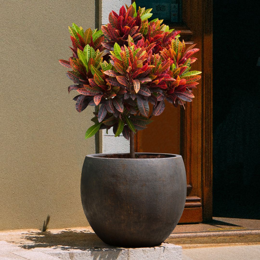 Eschbach Bowl - Bronze