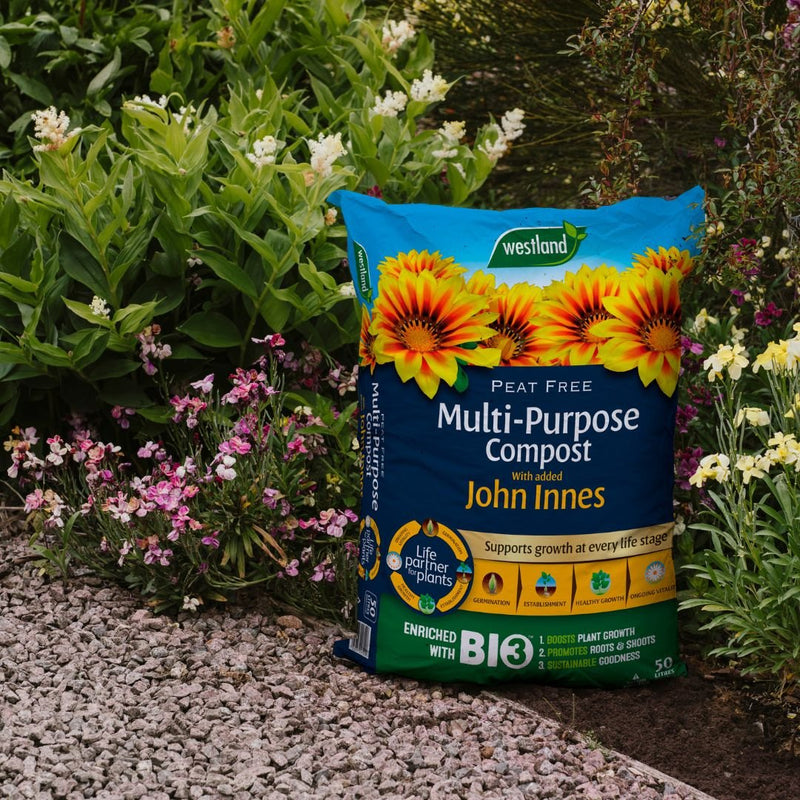 John Innes Multi Purpose Compost 50L - The Garden HouseWestland