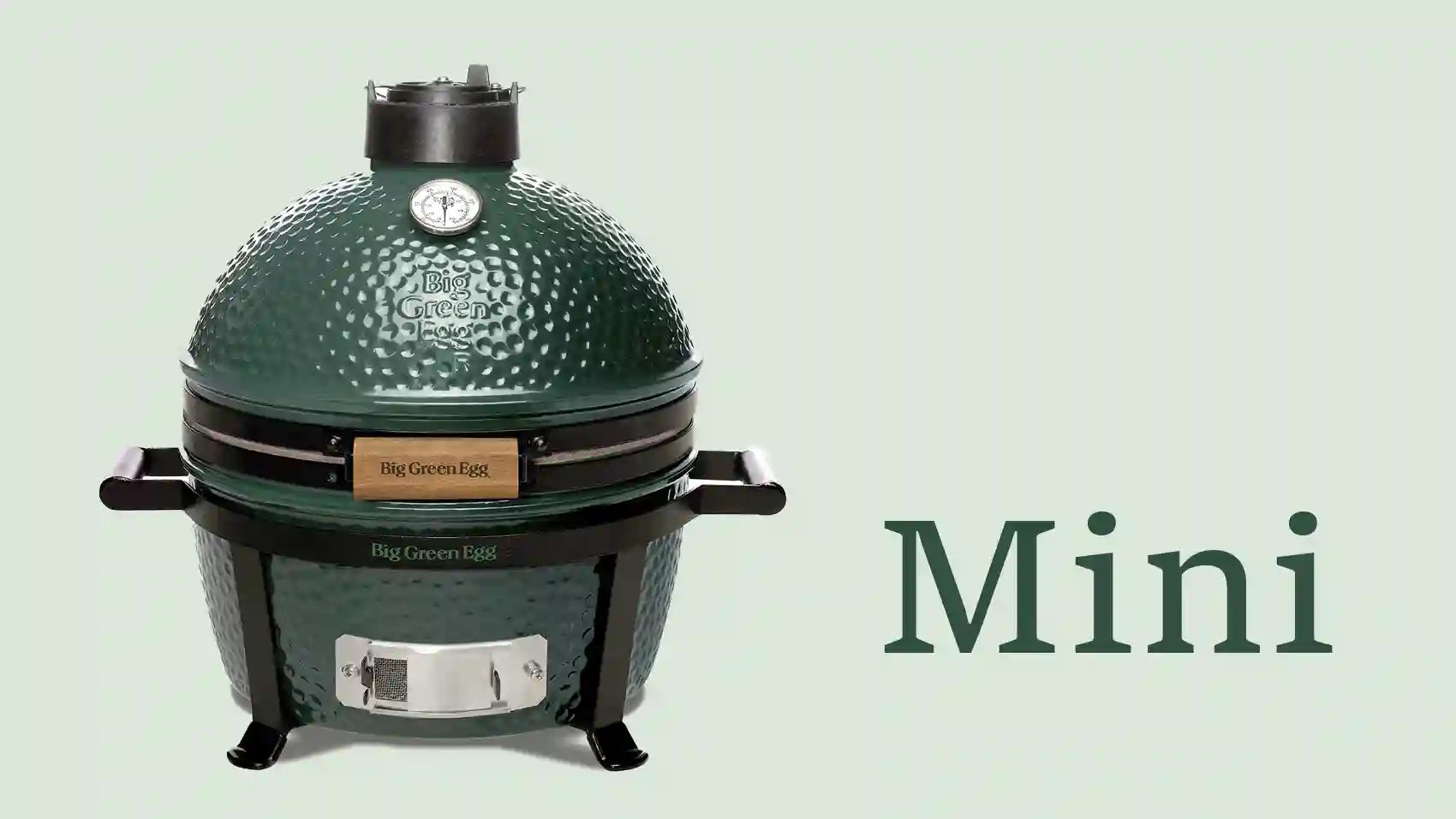 Green Egg Mini barbecue