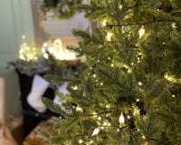 How to Choose the Best Christmas Lights for Your Home - The Garden House