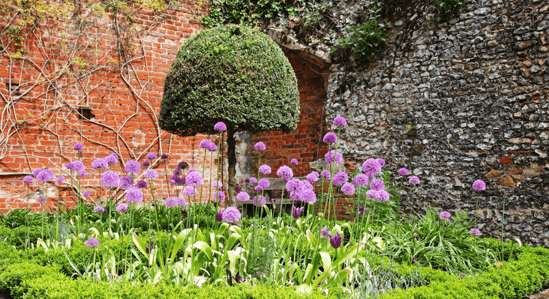 Popular Garden Looks - The Garden House