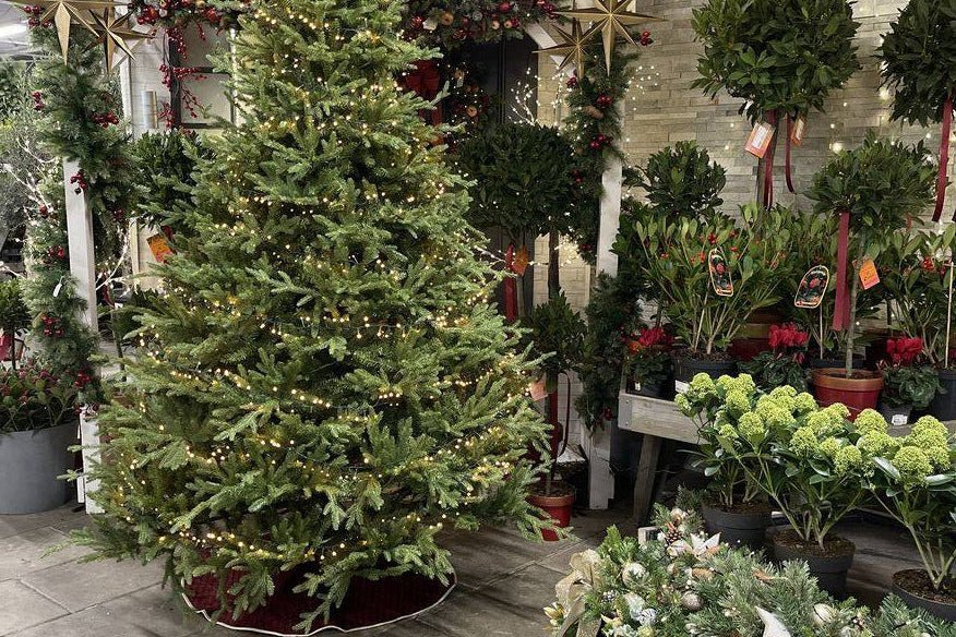 Why Choose an Artificial Christmas Tree Instead of a Real One - The Garden House