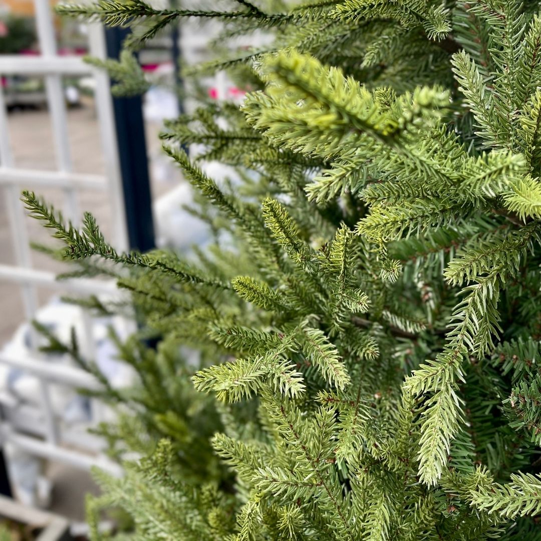 10ft Grand Nottingham Fir Artificial Christmas Tree