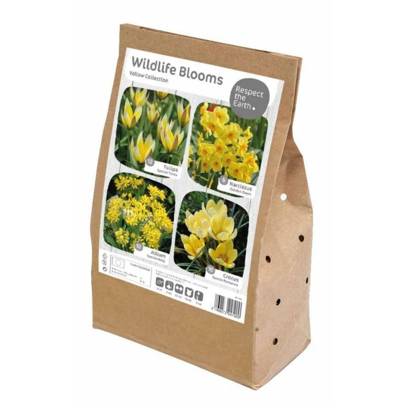 Wildlife Blooms Yellow Collection Bulbs