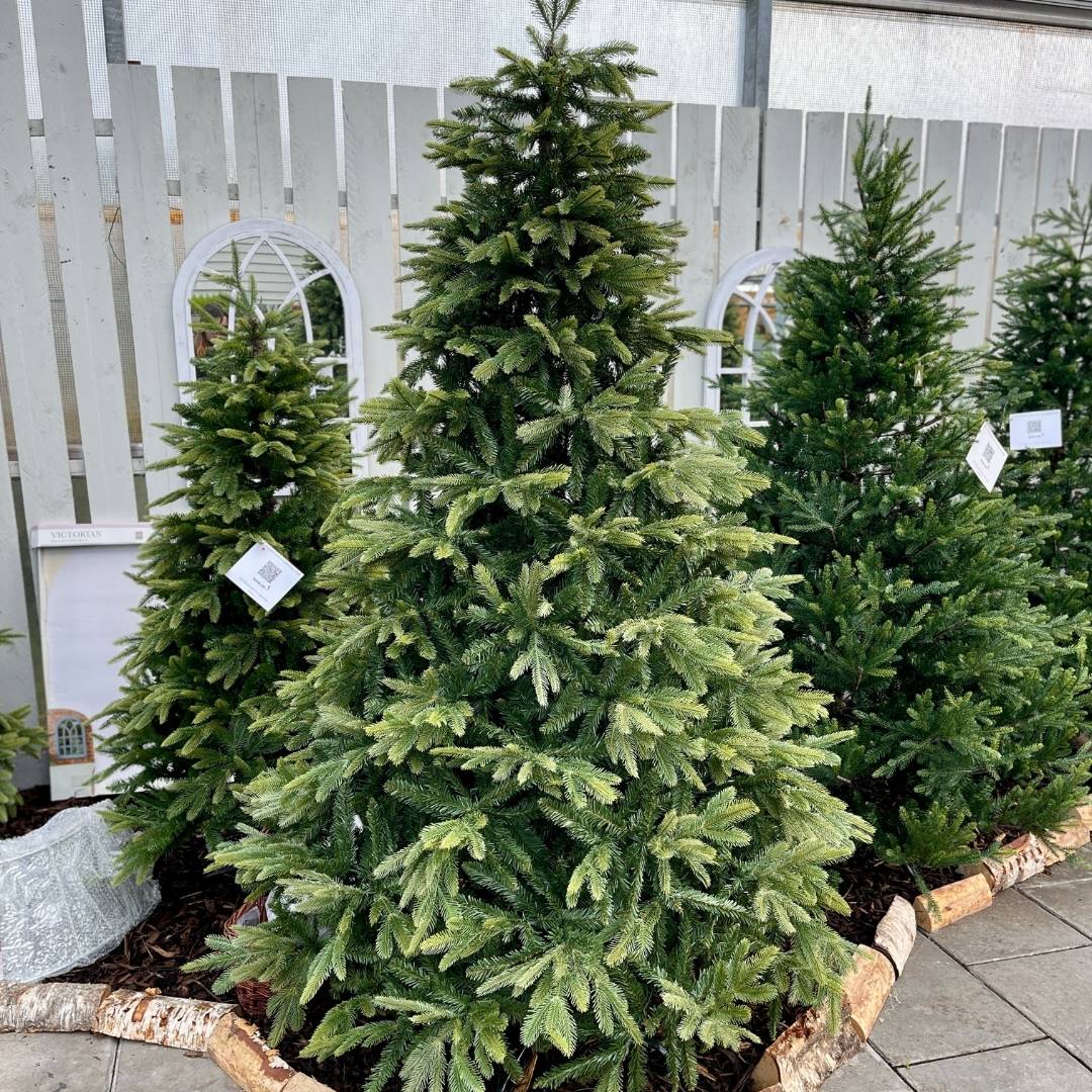 7.5ft Grand Parque Artificial Christmas Tree