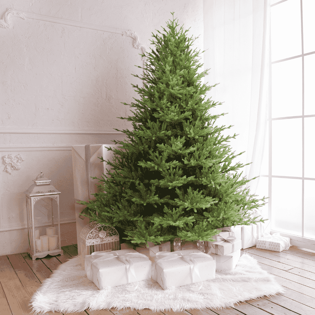 7.5ft Grand Nottingham Fir Artificial Christmas Tree