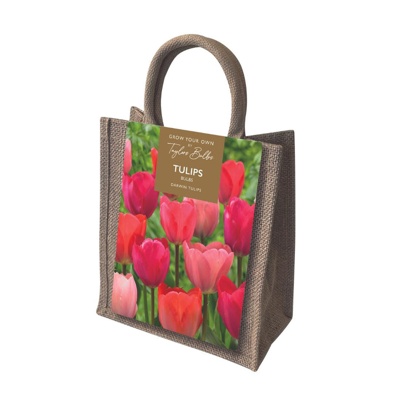 Tulip Jute Gift Bag Bulbs