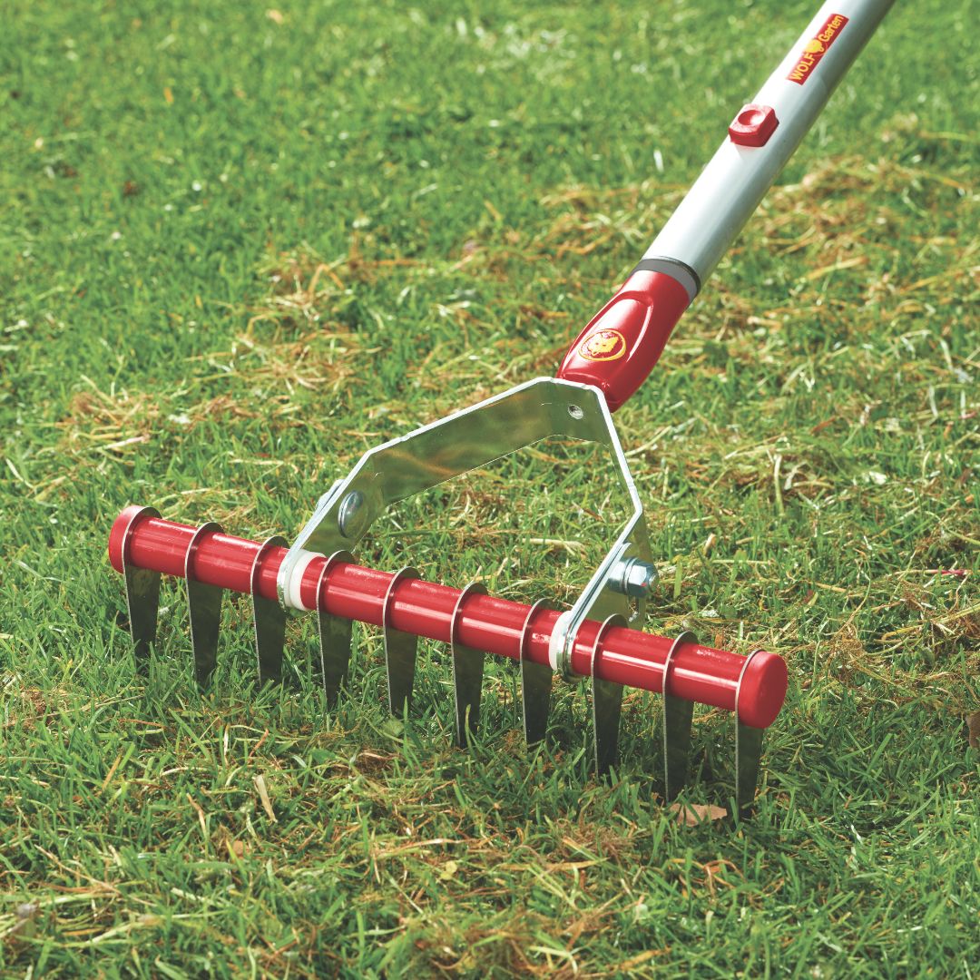 Wolf Garten Multi-Change® Moss Removal Rake