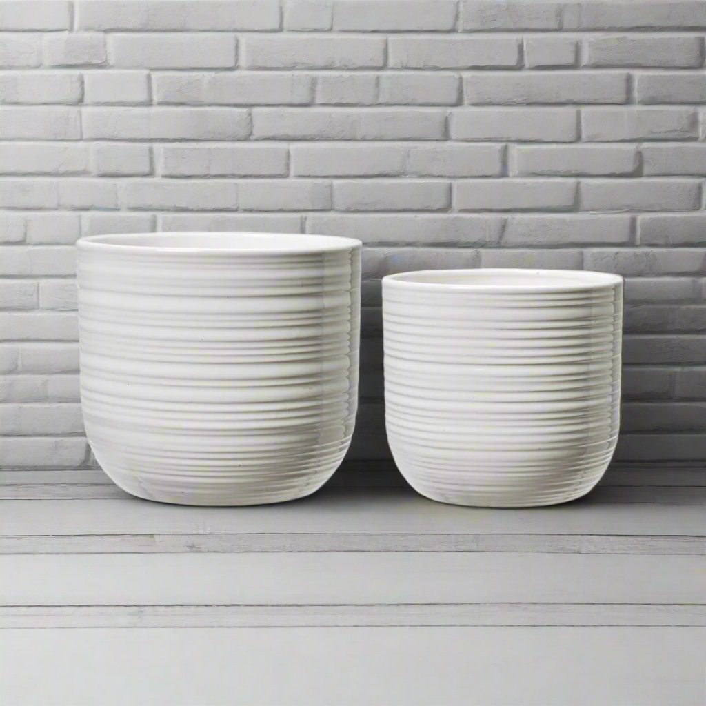 Java Pot White Gloss Finish White Pot – Sleek & Stylish Indoor Planter | The Garden House