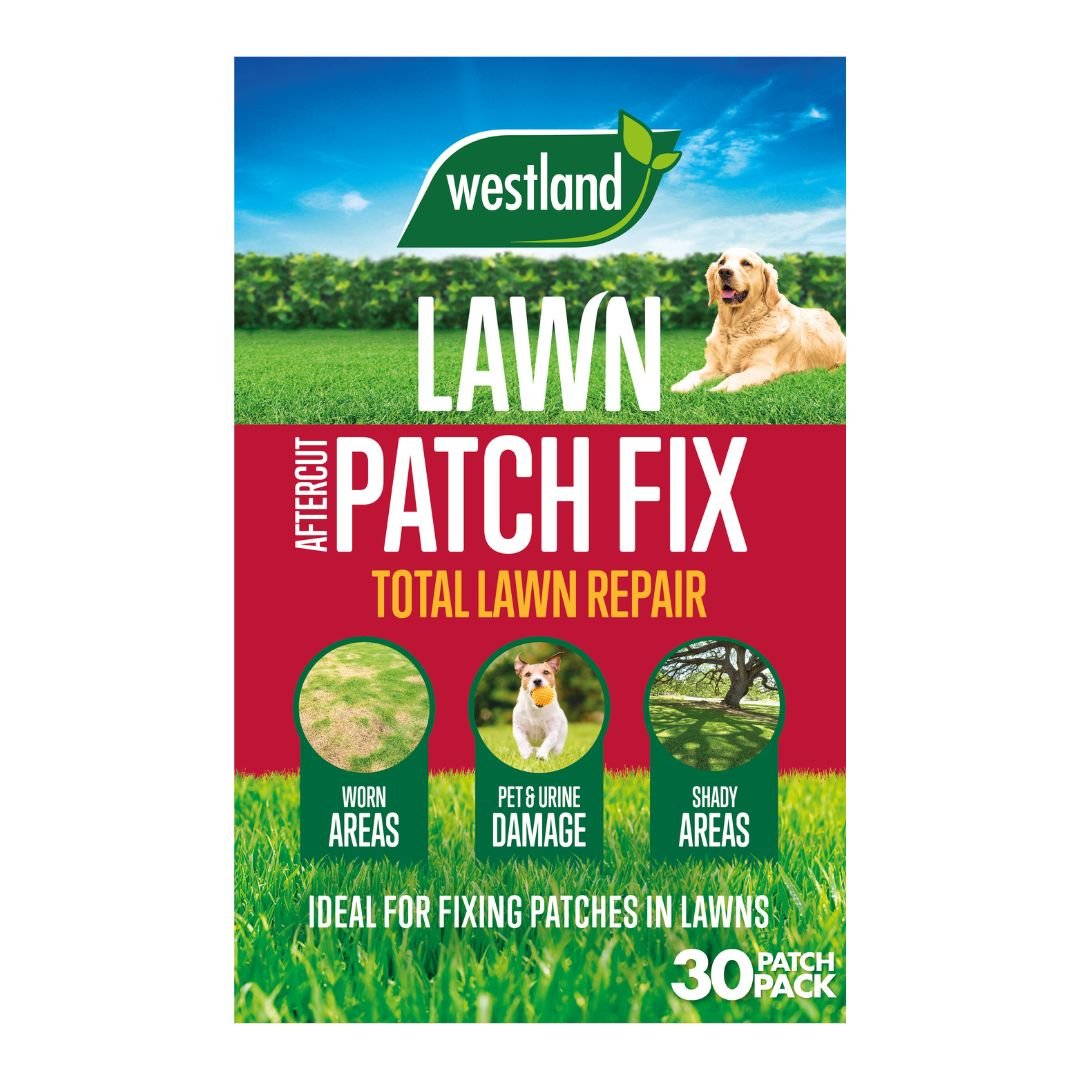 Aftercut Lawn Patch Fix