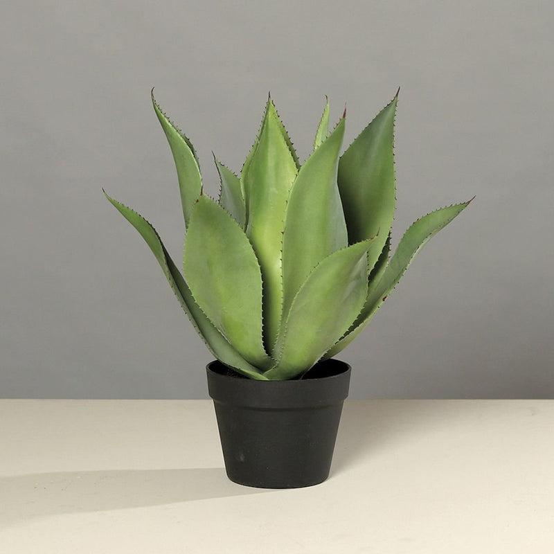 Agave Artificial Plant - The Garden HouseDPI