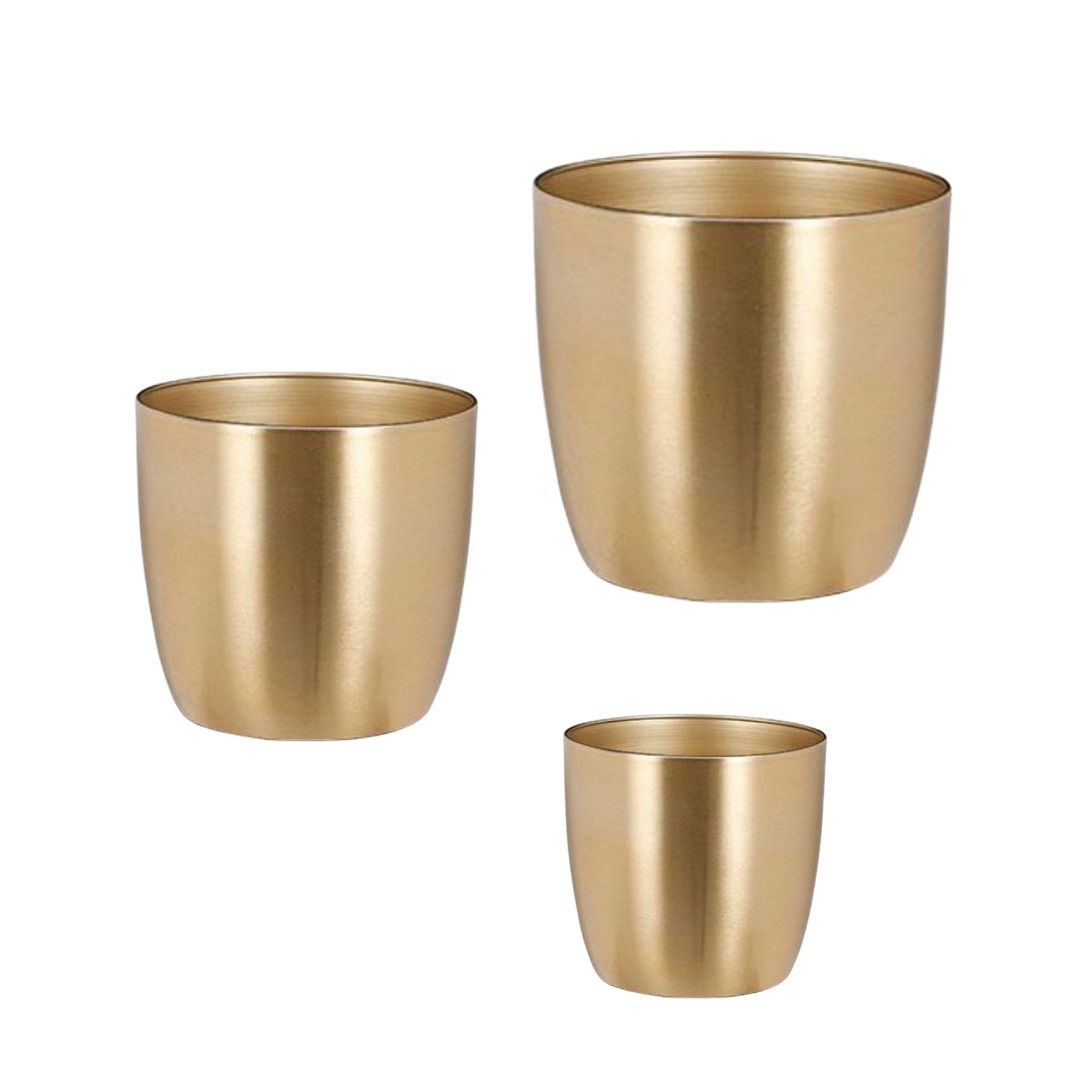 Alano Pot Gold