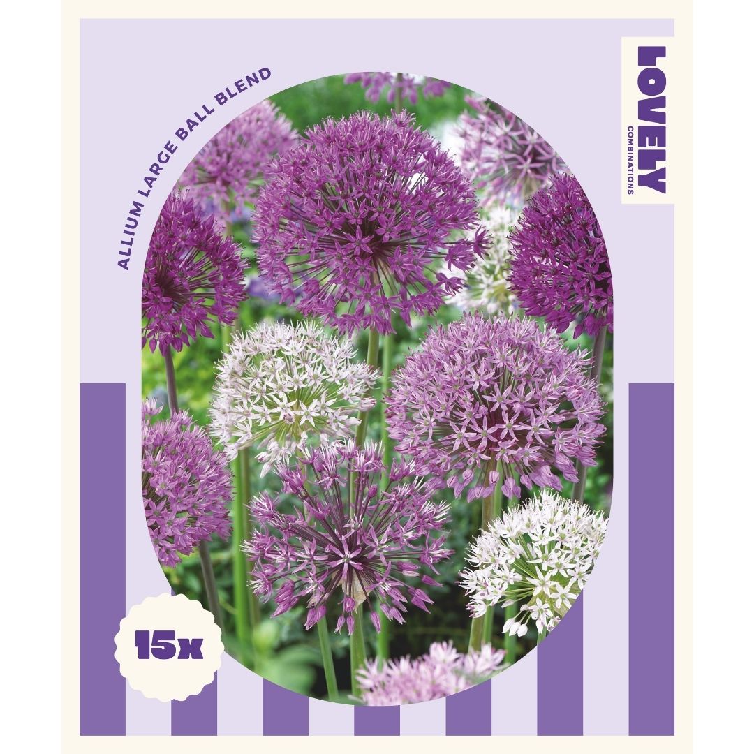 Allium Mix Bulbs